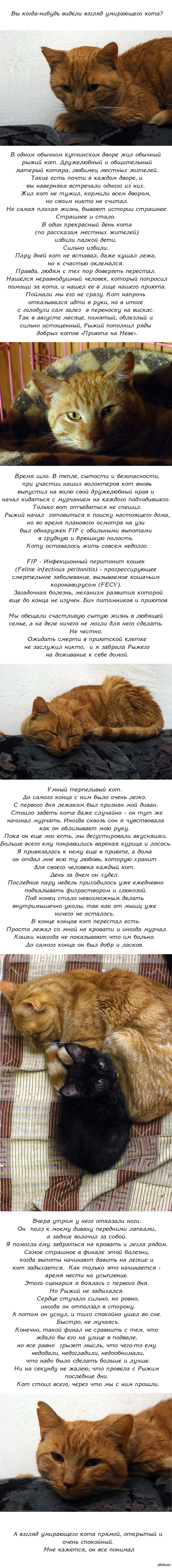 Как восстановить пароль на кракене