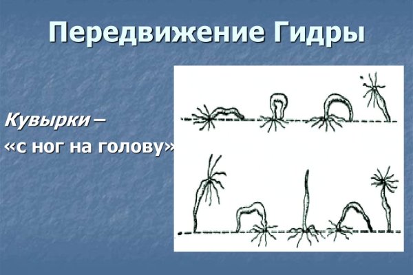 Как выйти на кракен