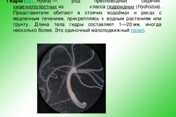 Kraken19at