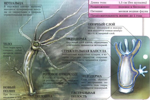 Кракен маркет это