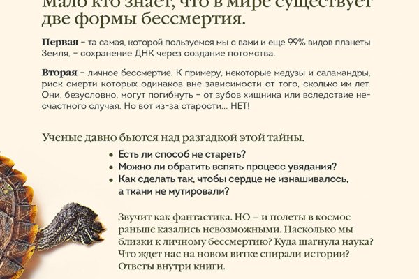 Кракен даркнет поддержка