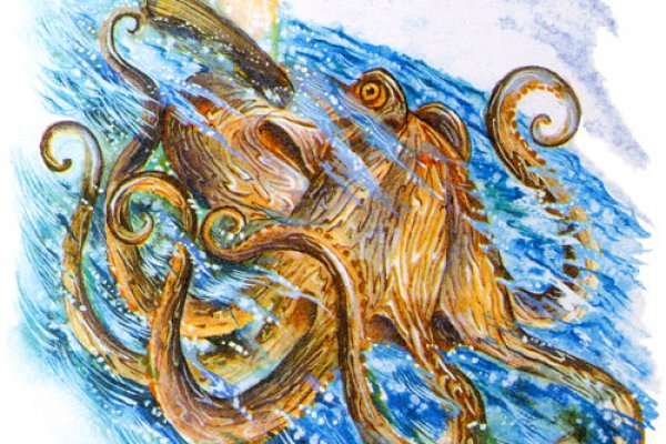 Kraken 17 at