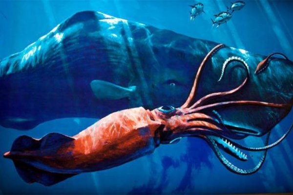 Kraken даркнет gigageek ru
