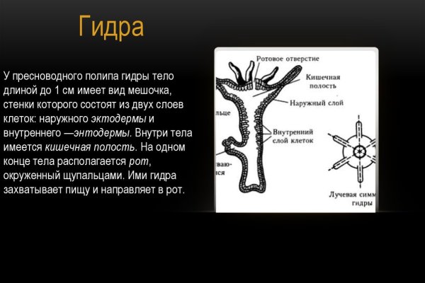 Кракен невозможно зарегистрировать пользователя