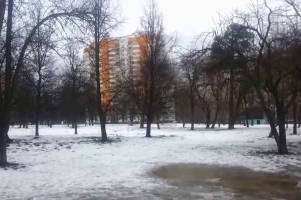 Найти зеркало кракена