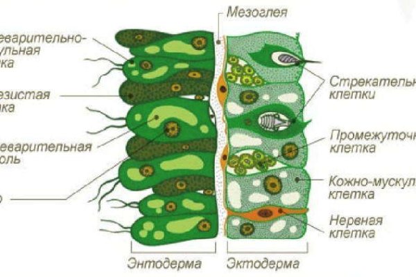 Кракен актуальное зеркало