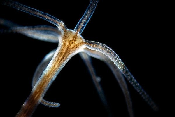 Кракен сайт kraken2
