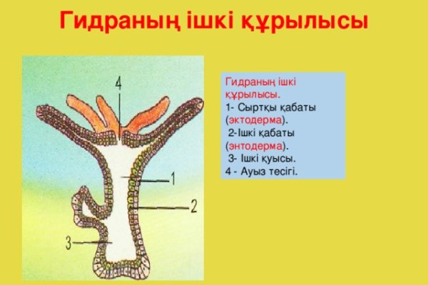 Kraken зайти на сайт