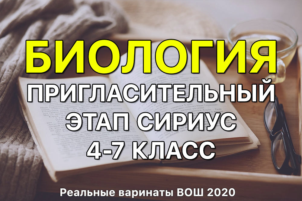 Кракен маркетплейс актуальные ссылки