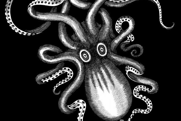 Kraken 23 at