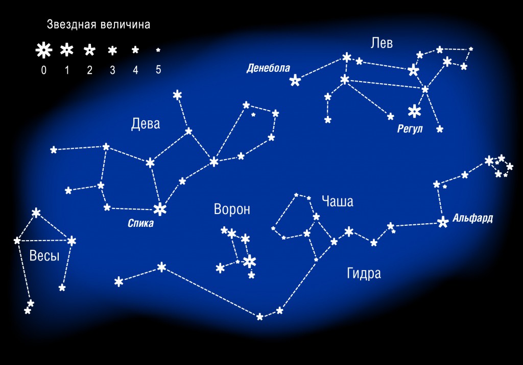 Только через тор кракен