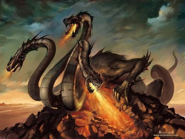 Kraken 12 at